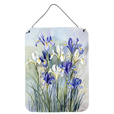 Caroline&#39;s Treasures Cbc0033Ds1216 Iris By Bettie Cheesman Wall Or Door Hanging Prints, 12X16, Multicolor