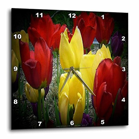 3Drose Dpp_6001_3 Red, Yellow And Purple Tulips In Spotlight-Wall Clock, 15 By 15-Inch