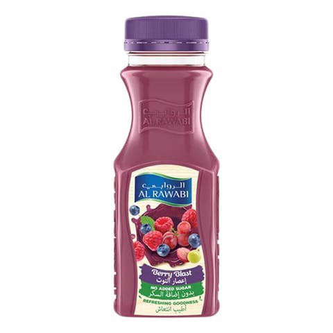 Al Rawabi Berry Cocktail Juice 200ml