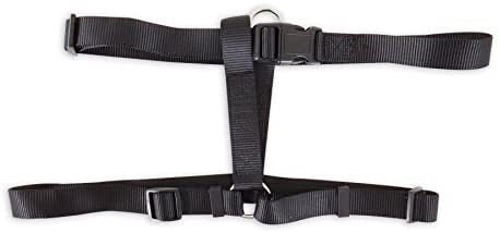 Petmate Nylon Dog Harness 1&quot;X28-36&quot; Black