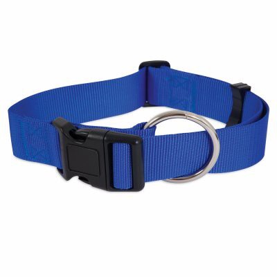 Petmate Nylon Adjustable Dog Collar 3/8&quot;X8-14&quot; Royal Blue