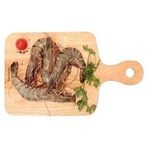 Fresh Tiger Shrimp (U15) (Lowest Price)