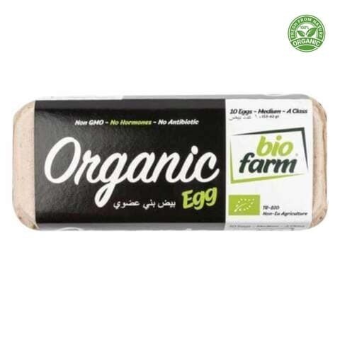 Bio Farm Organic Egg x 10