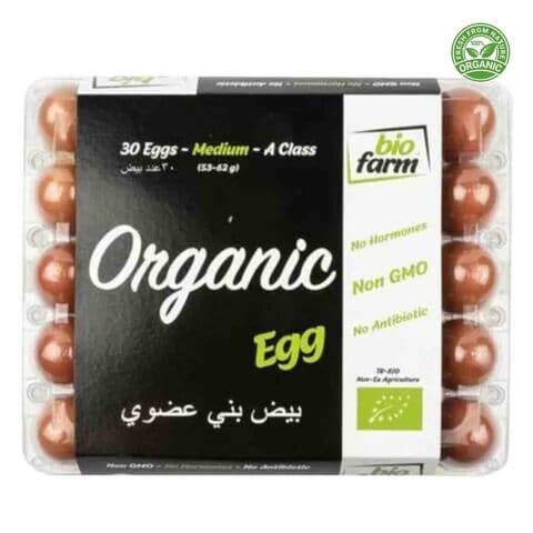 Bio Farm Organic Egg x 30