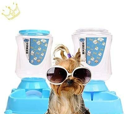 Mumoo Bear 4L Cat Dog Food And Water Dispenser For Cat And Small Or Medium Dog(Blue)