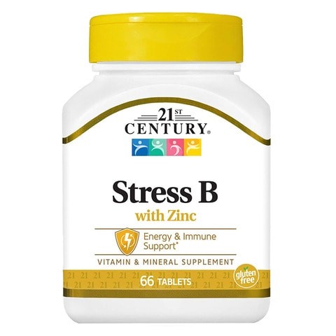 XXI Century Stress B With 66 . Zinc Tablets