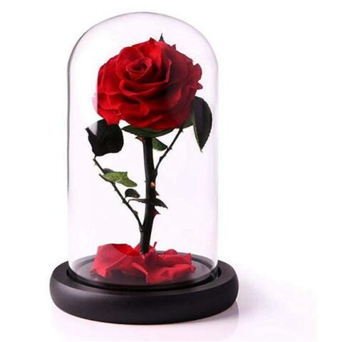 Alyssa Forever Handmade Flowers in Glass for Valentine's Day, Mother's Day, Anniversaries, Birthdays, Wedding (Red)