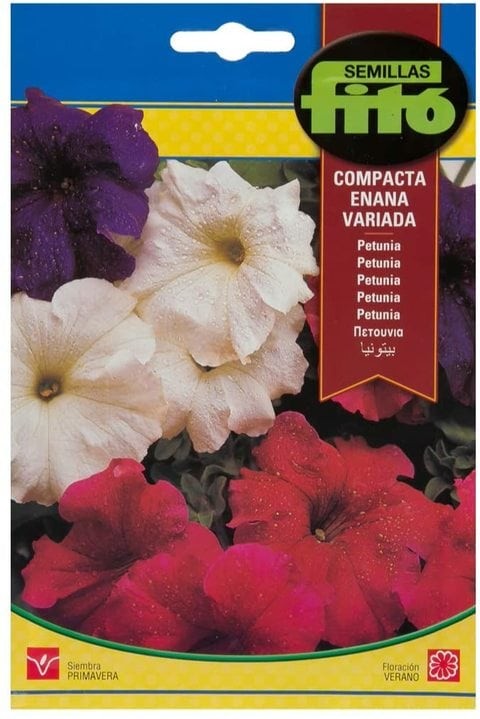 Fitto Compact Powder Petunia-671