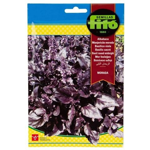 Phyto Midnight Round Basil Seeds (4g)