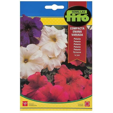 Phyto Dwarf Petunia Seeds