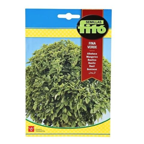 Phyto basil from Simias