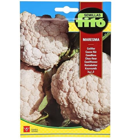 Phyto Cauliflower (4g)