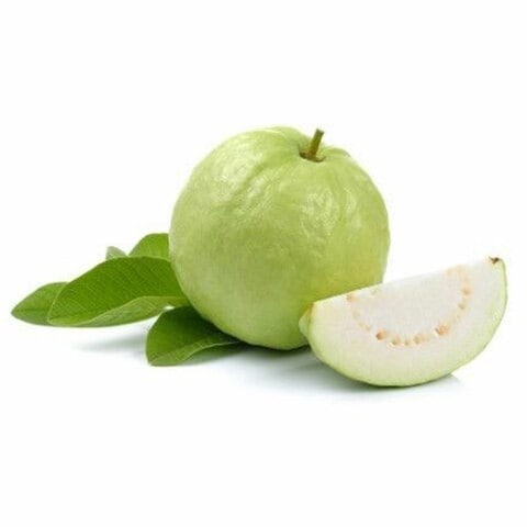 imported guava