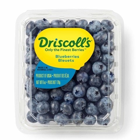 BLUE BERRIES PP