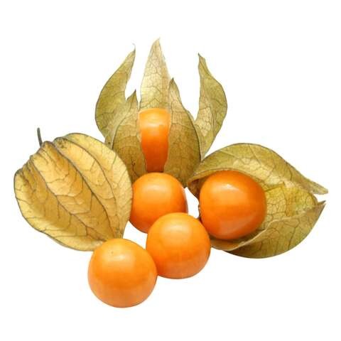 Physalis 100gm