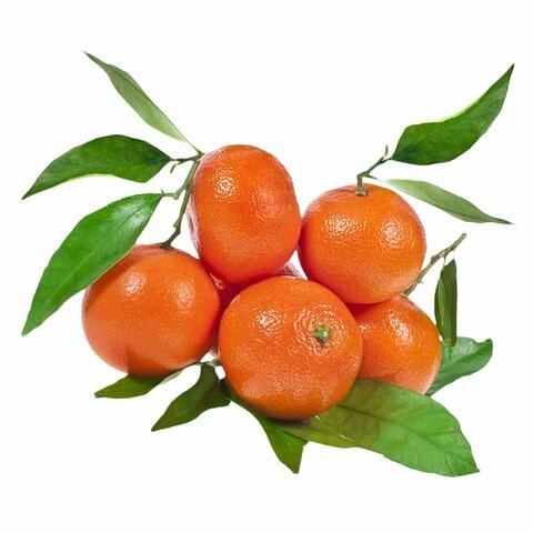 CLEMENTINES W/LEAVES