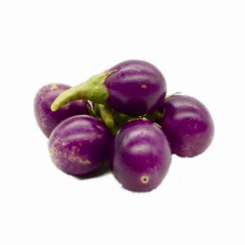 Round red eggplant