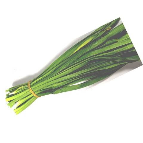 leek