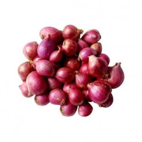 SHALLOT صغير