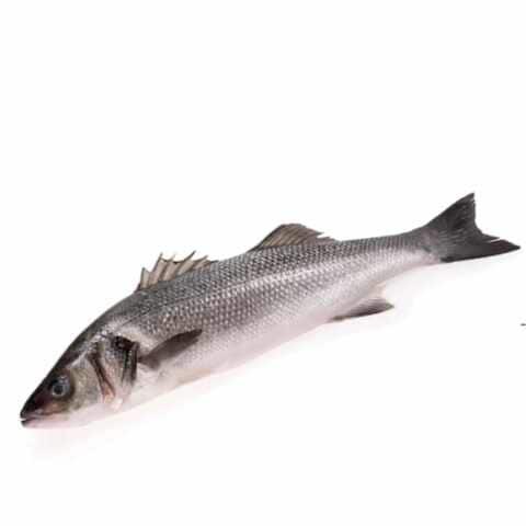 SEA BASS 600/800 GM FRESH