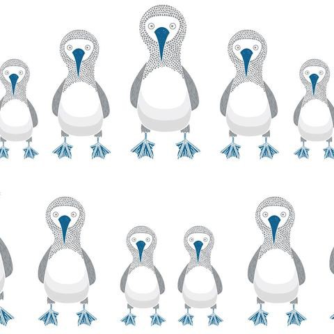 Blue Footed Booby Translucent Roller Blinds W: 150cm H: 200cm