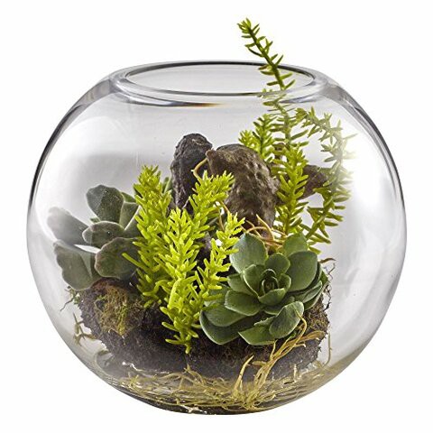 Nearly Natural 4564 Mix Succulent Garden with Glass Vase