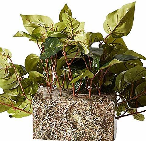 Nearly Natural 6708 Pothos Ledge Set on Foam Decorative Silk Plant, Green