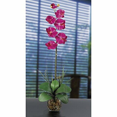 Nearly Natural 1104-BU Single Phalaenopsis Liquid Illusion Silk Flower Arrangement, Beauty