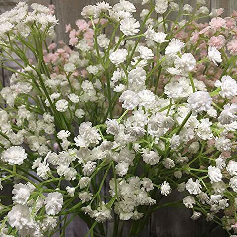 YSBER 10Pcs Baby Breath/Gypsophila Artificial Fake Silk Plants Wedding Party Decoration Real Touch Flowers DIY Home Garden(White)