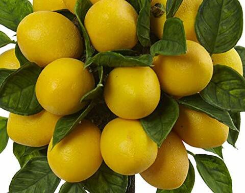 Nearly Natural Lemon Ball Arrangement Topiary, Yellow,19.5&#39;&#39; x 8.5&#39;&#39; x 8.75&#39;&#39;