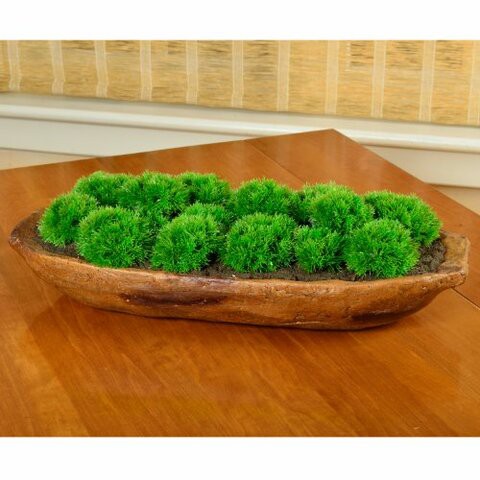 Picnic at Ascot Artificial Moss Arrangement