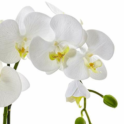 Nearly Natural 4569 Phalaenopsis Orchid in Ceramic Pot,White,19tall