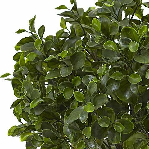 Nearly Natural Peperomia Indoor/Outdoor UV Resistant Plant, 23