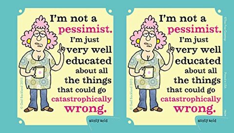 Tree-Free Greetings 16-Ounce Sip &#39;N Go Stainless Lined Travel Mug, Aunty Acid Not A Pessimist