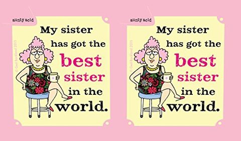 Tree-Free Greetings 16-Ounce Double-Walled Cool Cup With Reusable Straw, Aunty Acid Best Sister