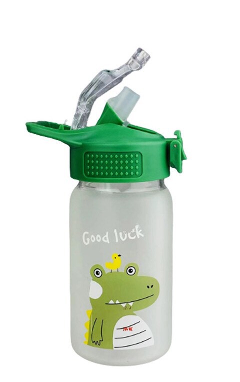 Dinasaur Water Glass Bottle with Straw Green 350ml