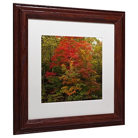 Trademark Fine Art Why I Love Autumn 2 Wall Decor By Kurt Shaffer, 11&quot; X 11&quot;, Wood Frame, White Matte