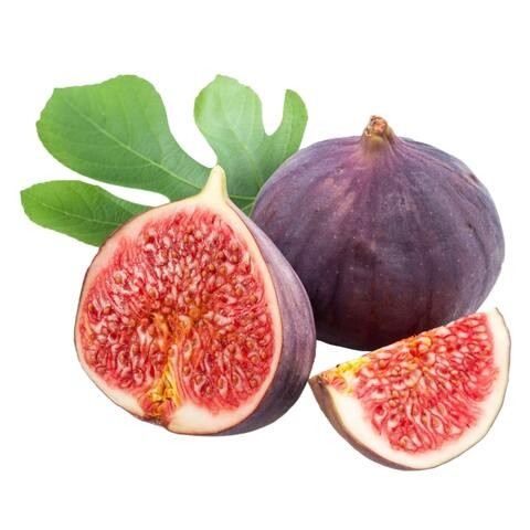 FIG FRESH