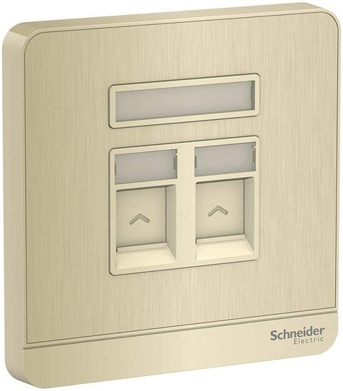 Schneider Electric AvatarOn 1 Gang Keystone Wallplate 2 Keystone Jack RJ-45 Metal Gold Hairline, E8332RJS_GH