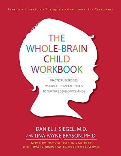 WHOLE BRAIN CHILD WORKBK