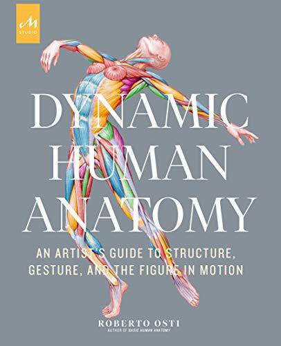 DYNAMIC HUMAN ANATOMY