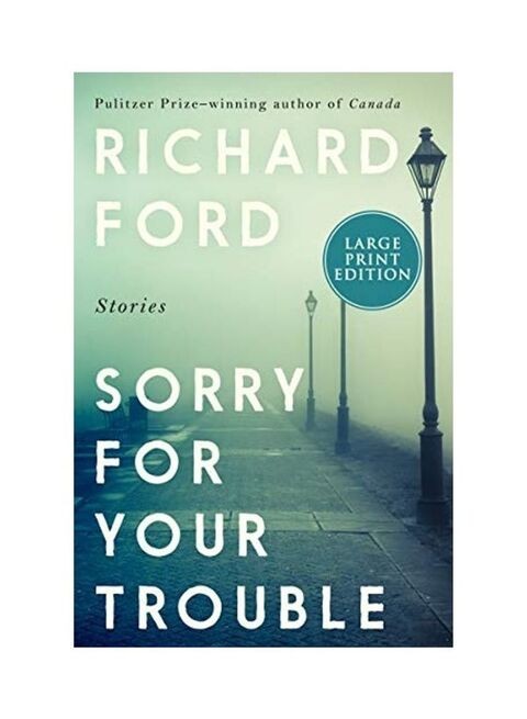 Sorry For Your Trouble Paperback