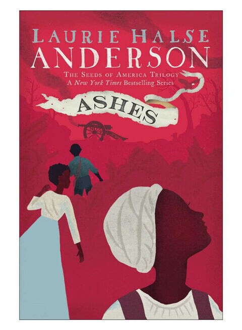 Ashes Paperback