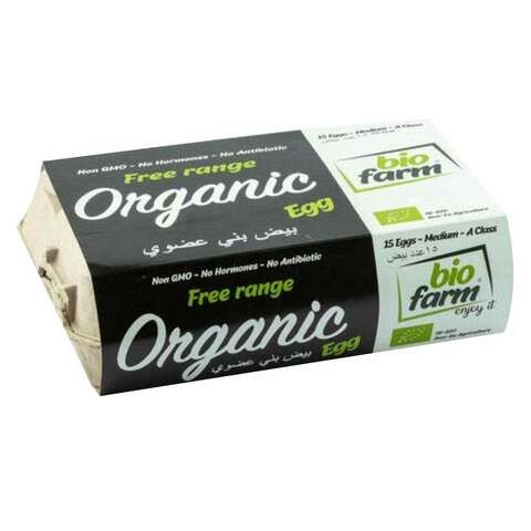 Bio Farm Organic Egg x 15