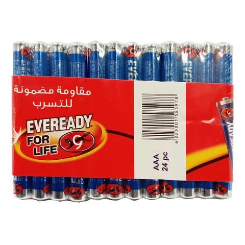 Everyday battery 24pcs AAA