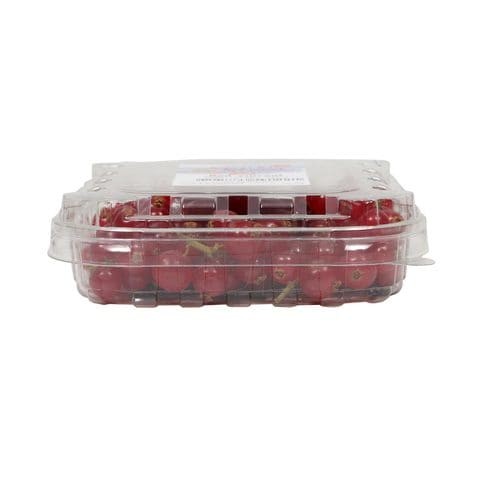 RED CURRANT PP