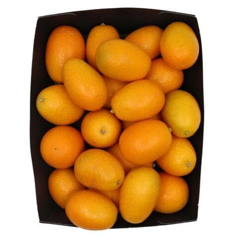 KUMQUAT PP