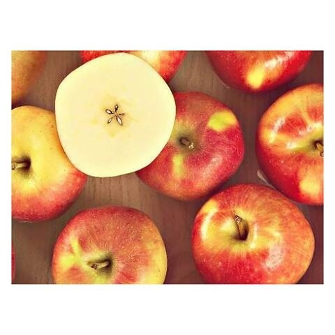 Ambrosia Apple