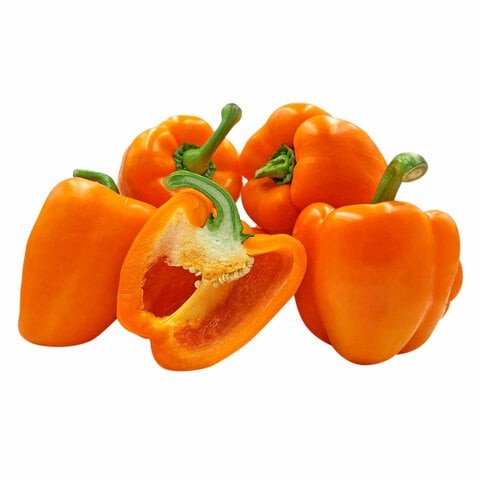 CAPSICUM ORANGE