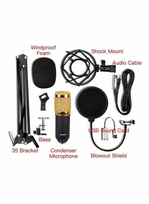 Generic Condenser Microphone With Accessories Set Bm-800 Black/Gold